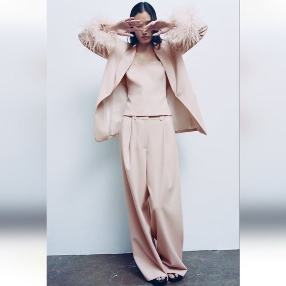 Zara 2 Pc Set Wide Leg Pants & Bustier Beige Pink Bloggers Favorite - Picture 7 of 14